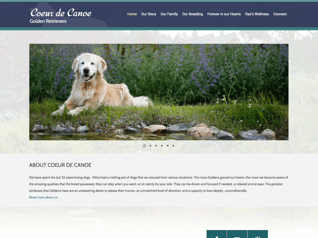 Coeur de Canoe Golden Retrievers